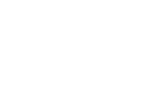 Direct Optical Optique logo